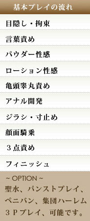 基本ﾌﾟﾚｲの流れ